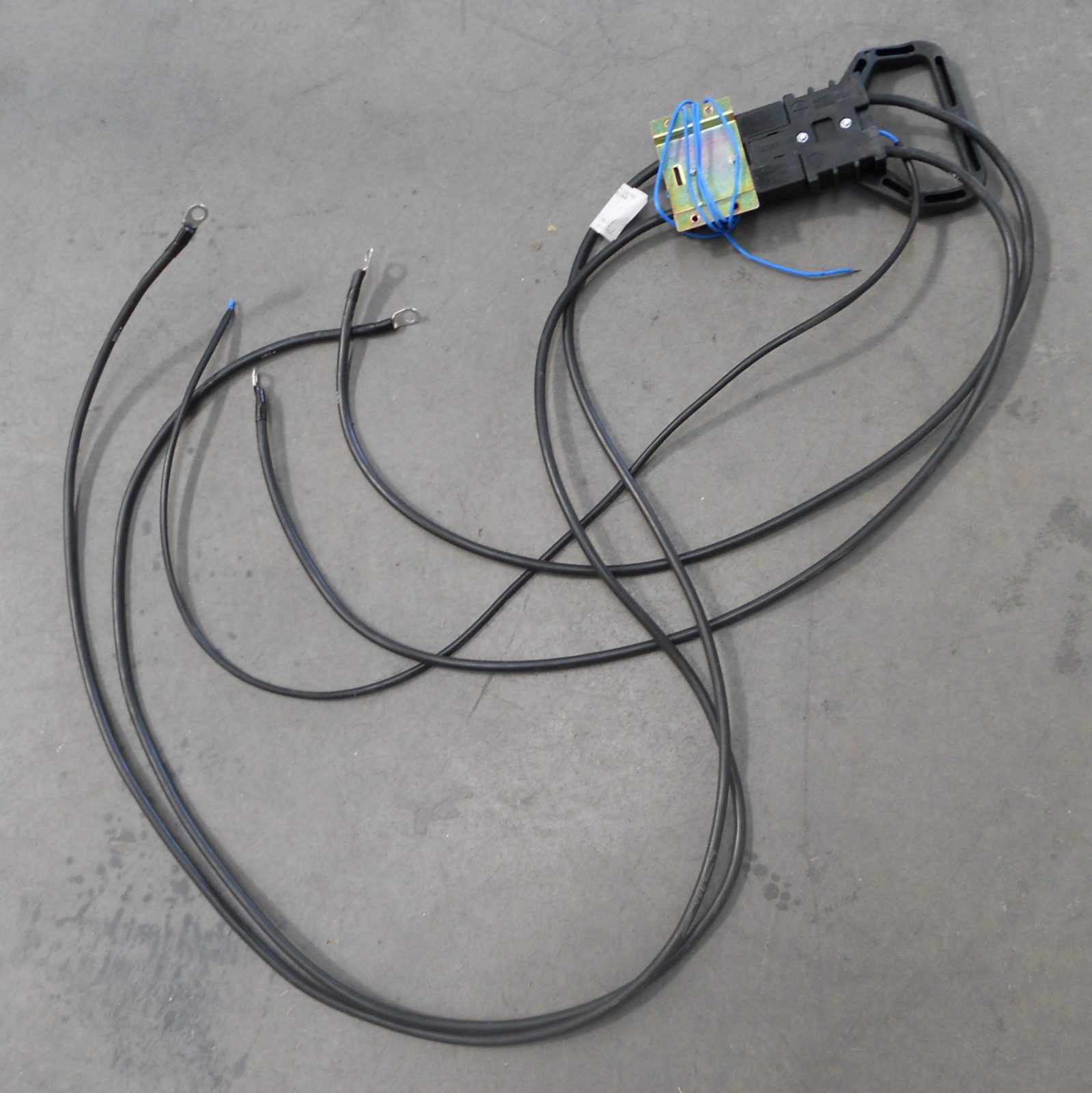 2D70912.pic2_.jpg