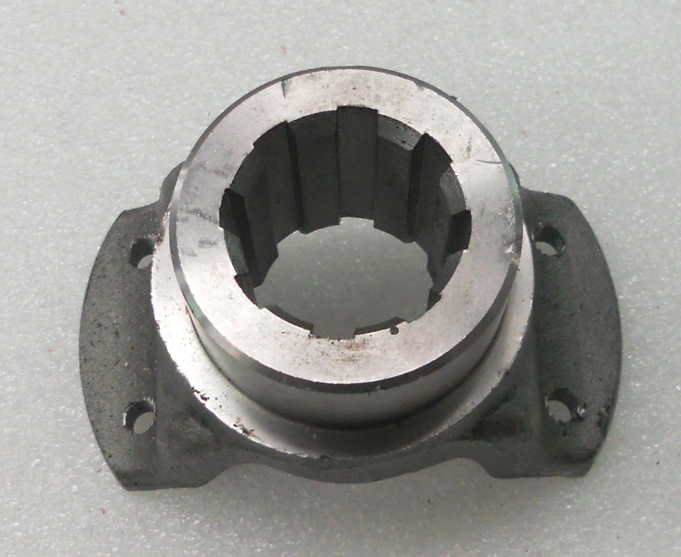 2F10177.pic1_.jpg
