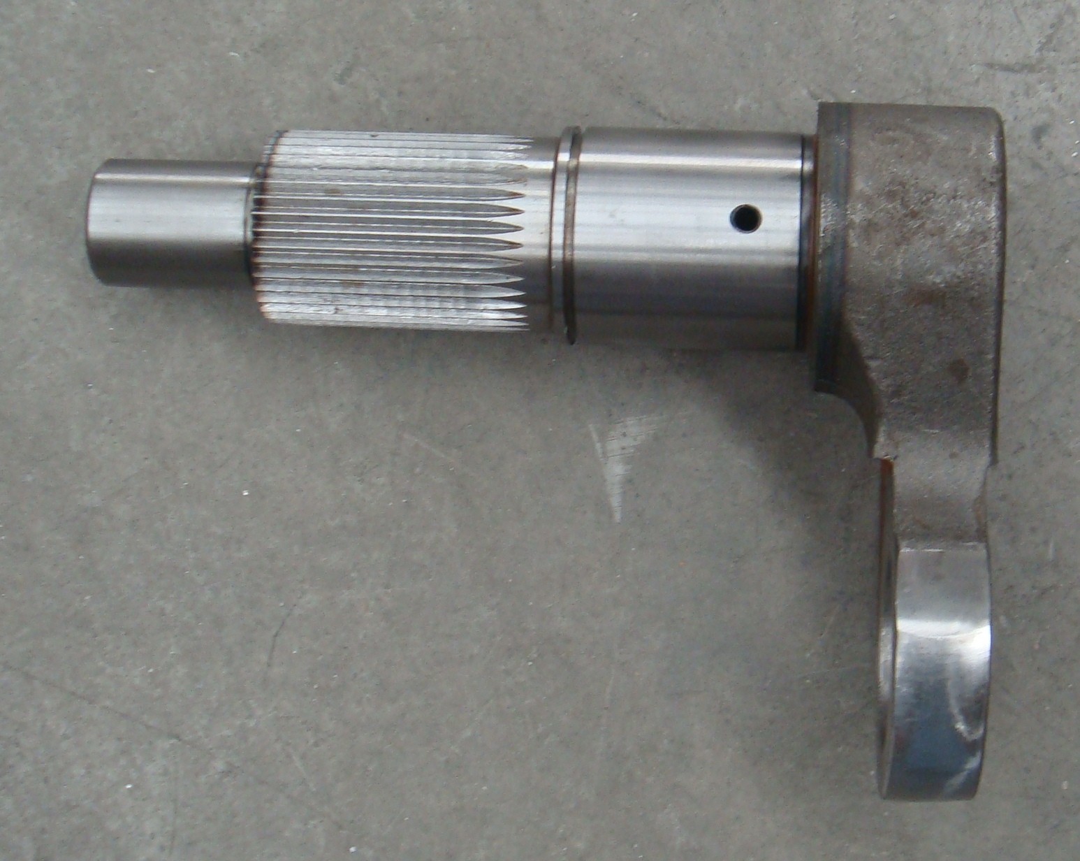 2I10588.pic1_.jpg