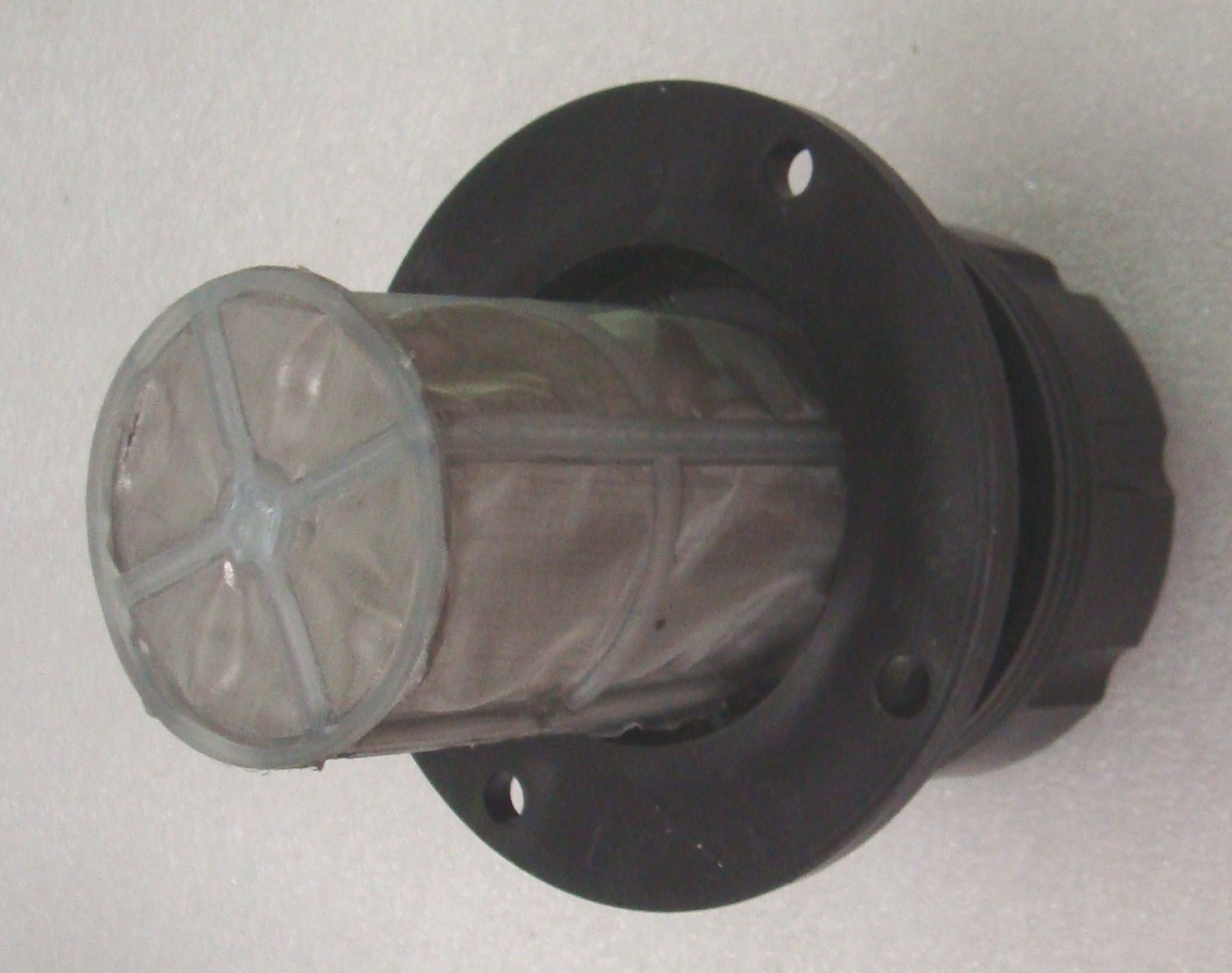 2O10147.pic3_.jpg