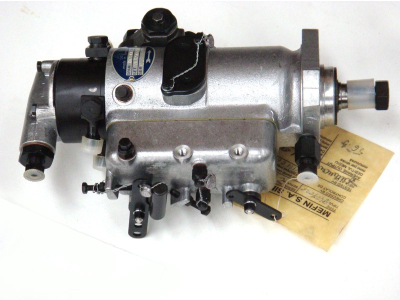 3F80425.jpg