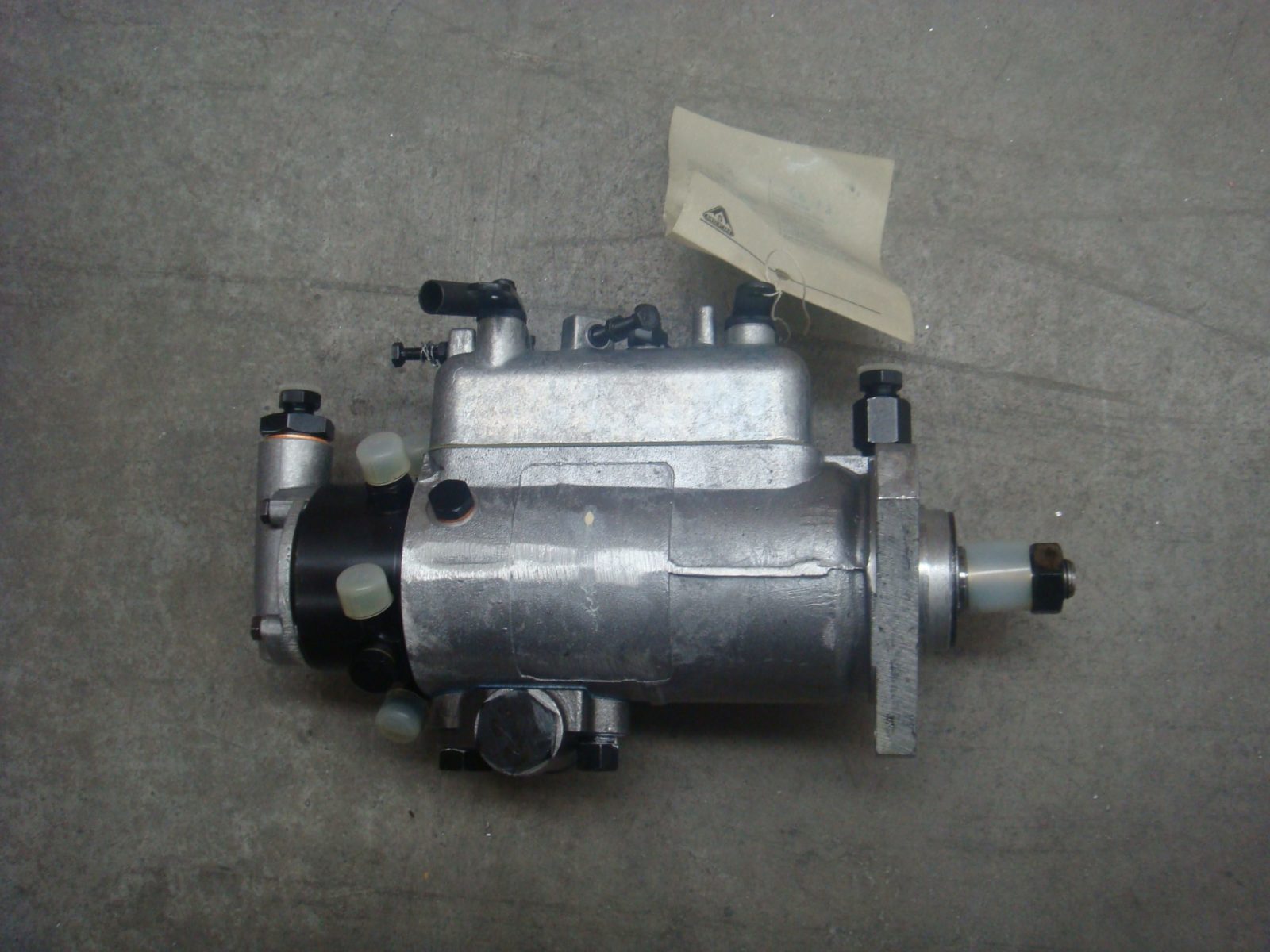 3F80425.pic1_-scaled-1.jpg